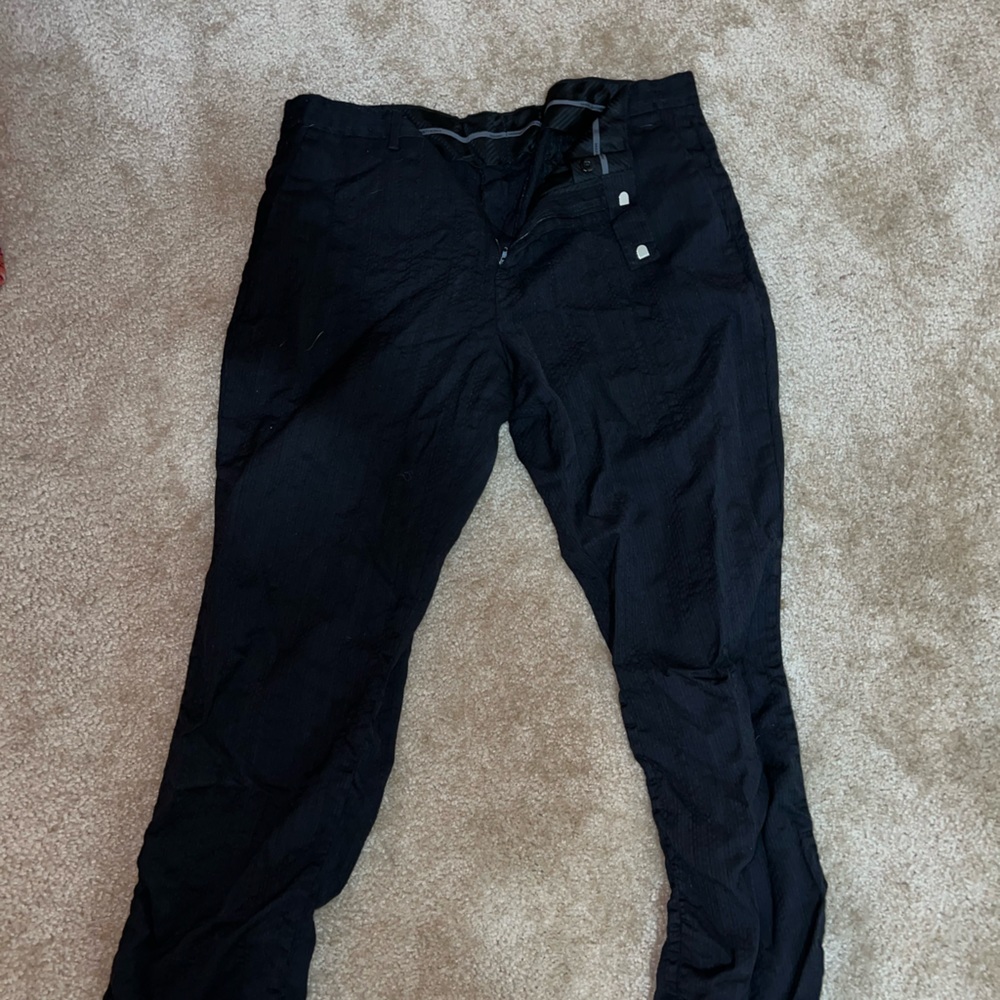 Dress pants